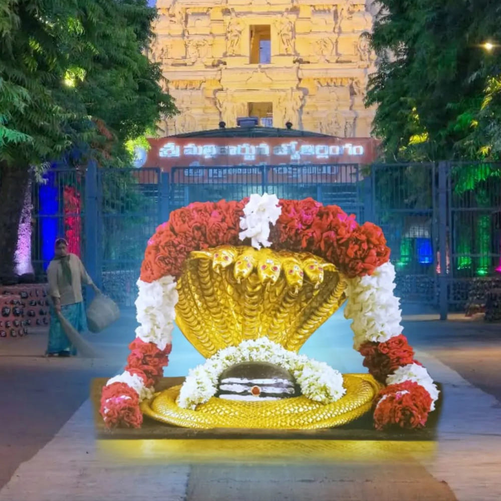 దూర ప్రాంతాల నుంచి వచ్చిన గిరిజన భక్తులకు దేవస్థానం వసతి, భోజన సదుపాయాలను కూడా కల్పించింది. ప్రతి నెలా చెంచు గిరిజనులకు ఉచిత స్పర్శ దర్శనం కల్పించాలన్న పాలకమండలి నిర్ణయంతో ఈ కార్యక్రమం నిరంతరం కొనసాగుతోంది. తమ ఆధ్యాత్మిక, సాంస్కృతిక అనుబంధాన్ని గుర్తించి ప్రత్యేక దర్శనం కల్పిస్తుండటంపై గిరిజన భక్తులు సంతోషం వ్యక్తం చేస్తున్నారు.