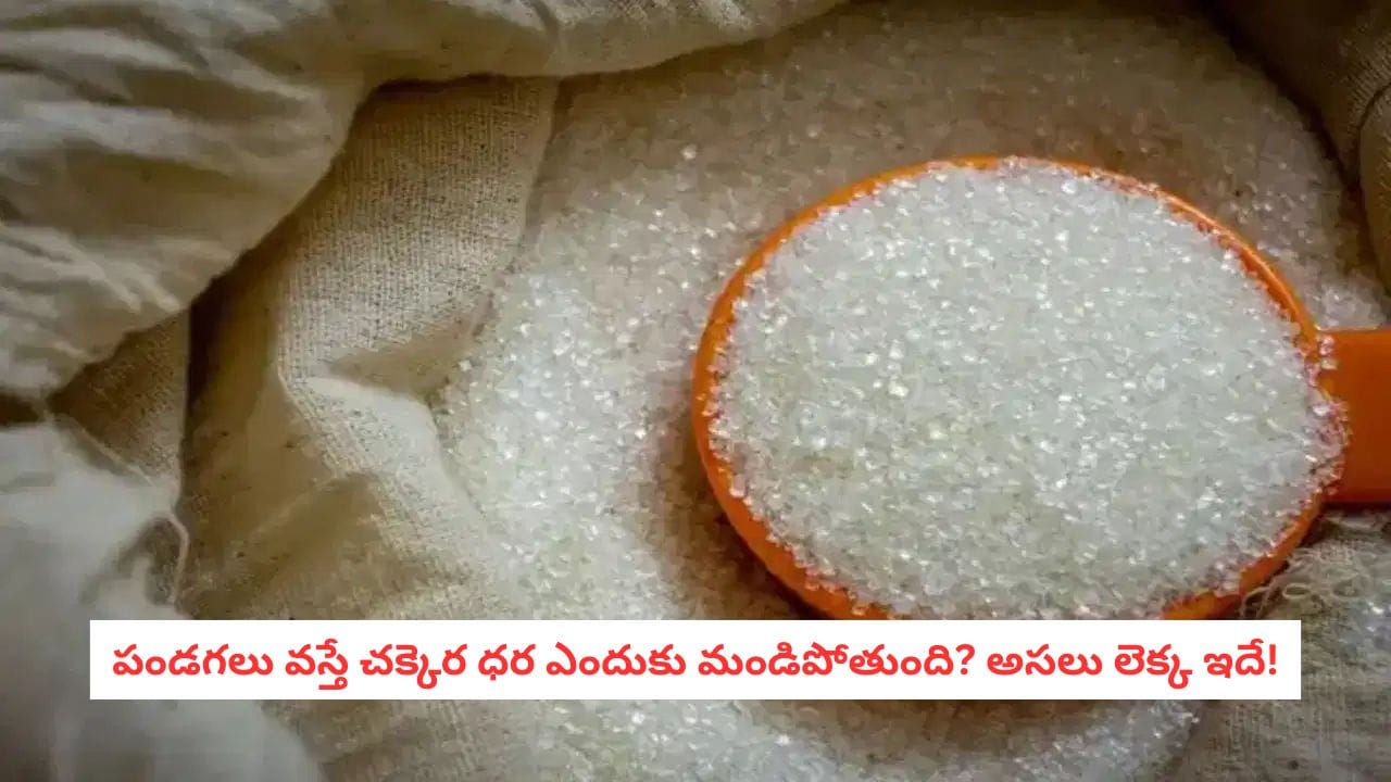 Sugar Prices: పండగల సీజన్లో చక్కెర ధరలు ఎందుకు పెరుగుతాయో తెలుసా? అసలు కారణాలు ఇవే!