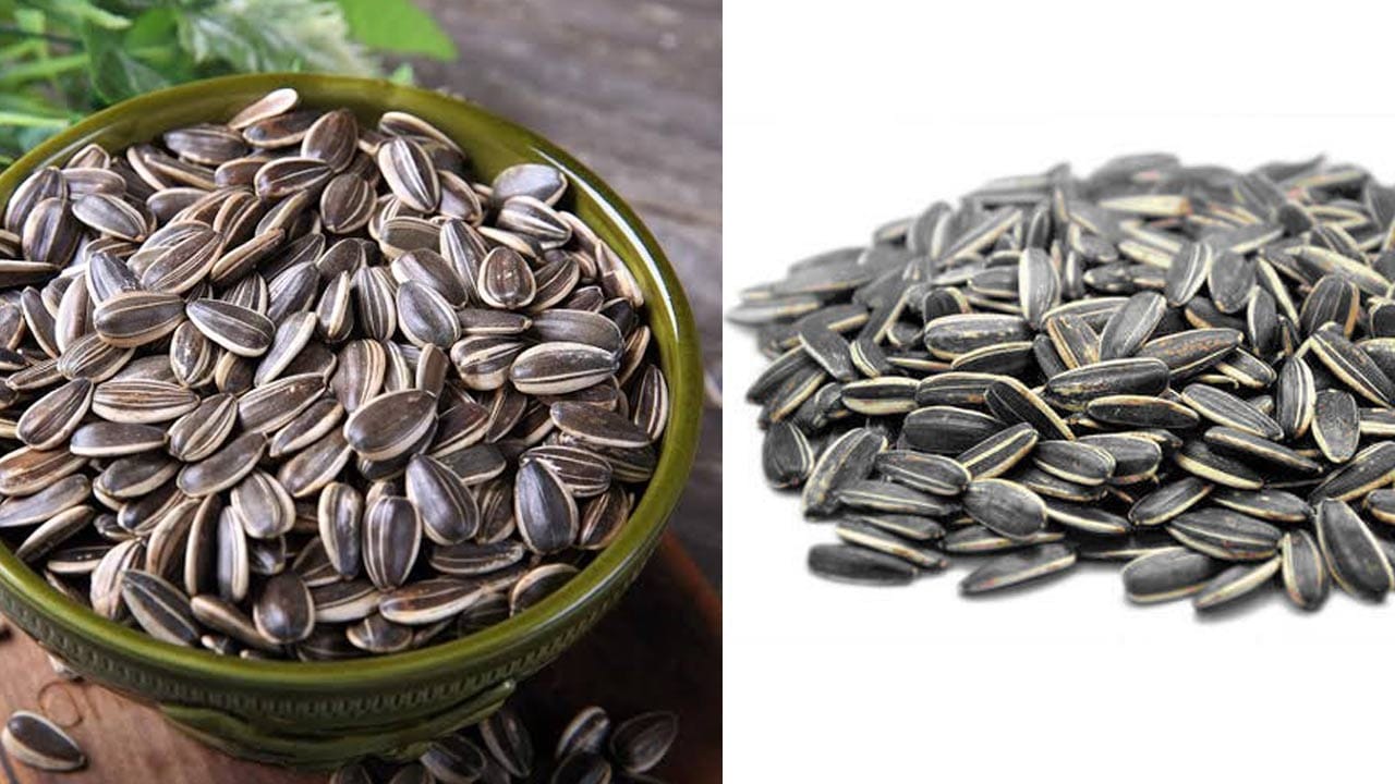 Sunflower Seeds 4