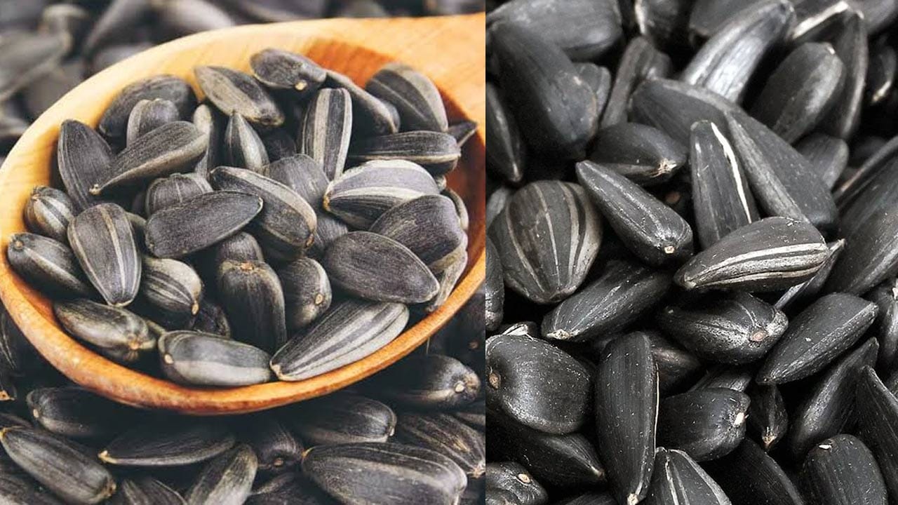 Sunflower Seeds 6