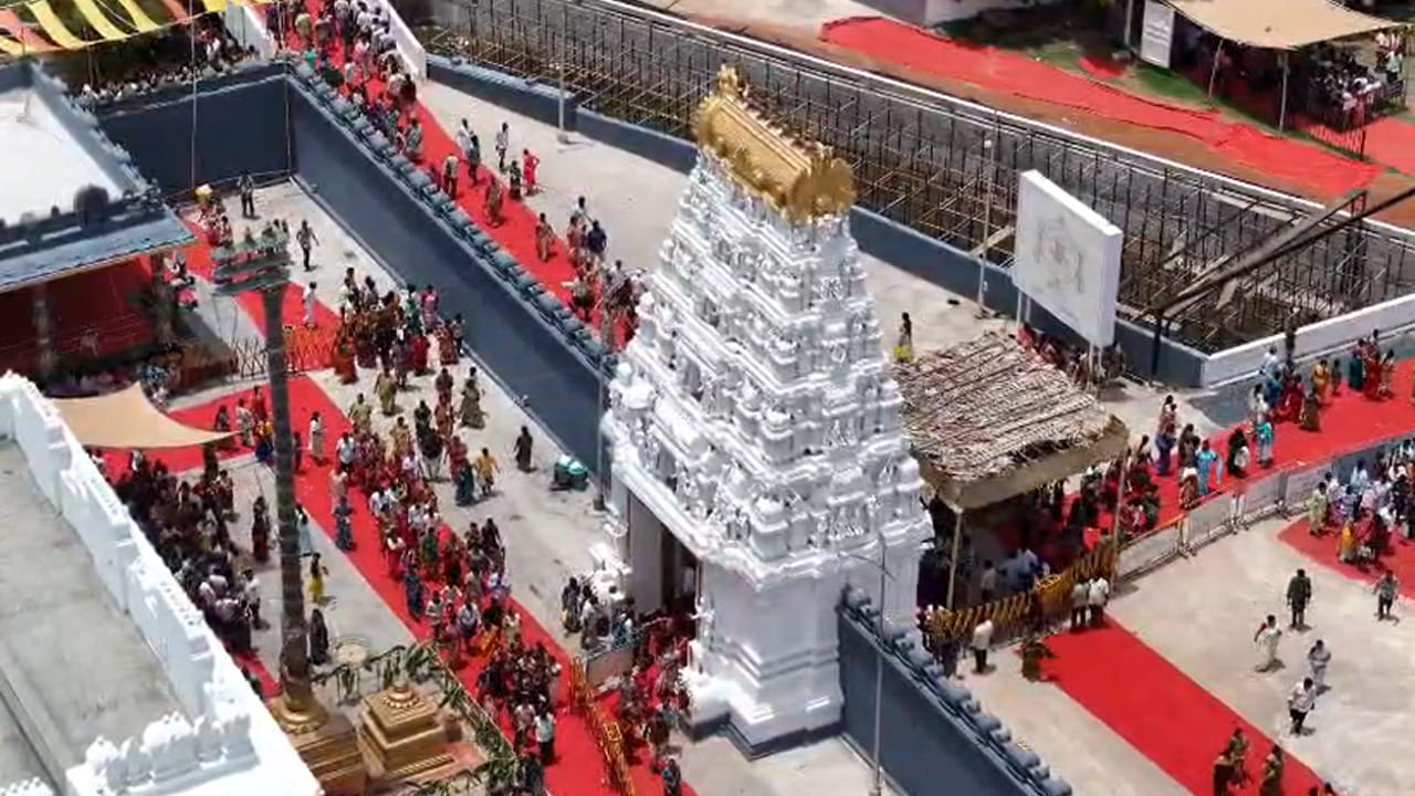 తిరుమల తరహాలో నిత్యపూజలు..కృష్ణా జిల్లా పామర్రు మండలం డోకిపర్రులో 2015లో ప్రతిష్టించబడిన ఈ ఆలయంలో తిరుమలలో అమలయ్యే శ్రీ వైఖానస ఆగమశాస్త్రం ప్రకారమే నిత్య పూజలు నిర్వహిస్తున్నారు. ప్రతిరోజూ ఉదయం సుప్రభాత సేవతో ప్రారంభమయ్యే పూజా కార్యక్రమాలు అర్చనలు, తోమాల సేవ, నివేదనలు, సాయంత్రం ప్రత్యేక పూజలు, రాత్రి ఏకాంత సేవ వరకు శాస్త్రోక్తంగా కొనసాగుతాయి. అందుకే ఇక్కడికి వచ్చే భక్తులు తిరుమలలో దర్శనం చేసిన అనుభూతిని పొందుతున్నామని చెబుతున్నారు. 