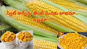 స్వీట్ కార్న్,ఏ రకంగా తీసుకున్నా ఆరోగ్యానికి బోలెడన్ని బెనిఫిట్స్