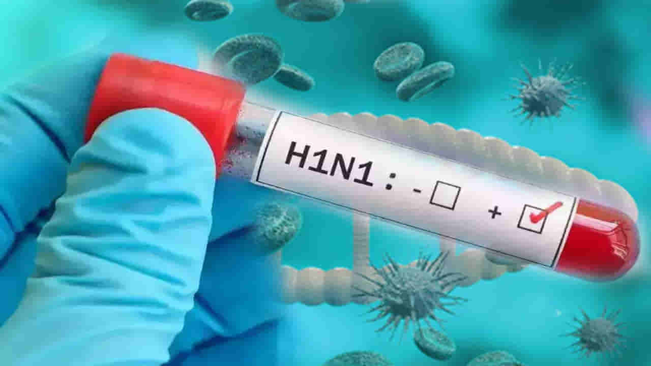 Swine Flu: ఢిల్లీ-ఎన్సీఆర్లో స్వైన్ ఫ్లూ (H1N1) కలవరం.. ప్రధాన లక్షణాలు ఇవే