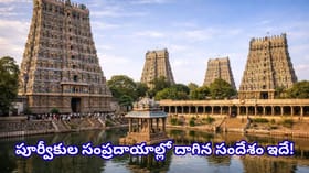 ఆలయ గోపుర కలశాల్లో ధాన్యాలు ఎందుకు పెడతారు? పూర్వీకుల ఆలోచన వెనుక