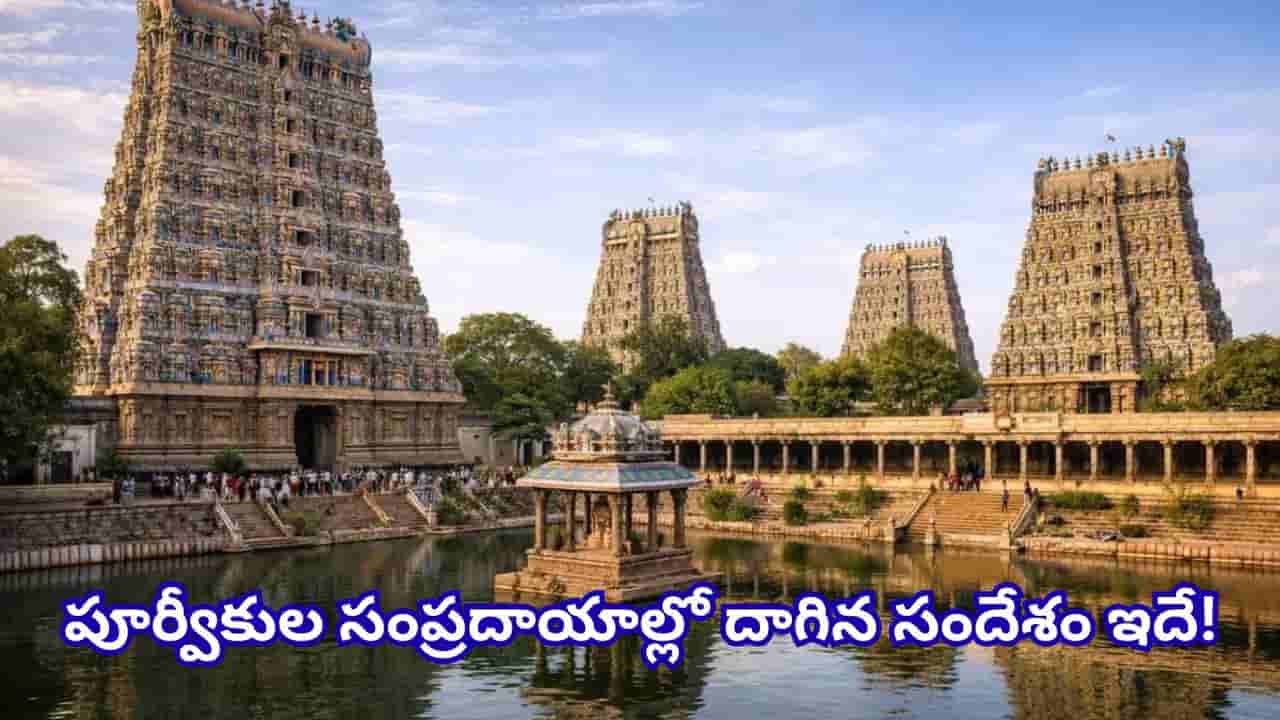 ఆలయ గోపుర కలశాల్లో ధాన్యాలు ఎందుకు పెడతారు? పూర్వీకుల ఆలోచన వెనుక ఉన్న అసలు రహస్యం ఇదే!