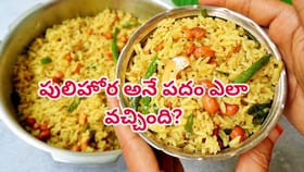 పులిహోర పేరు వెనుక ఇంత చరిత్ర ఉందా? ఆరోగ్యం, ఆధ్యాత్మికత కలగలిసిన