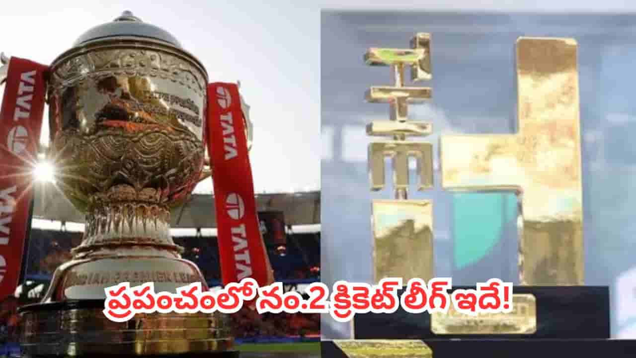 IPL : రూ.11,000 కోట్ల బ్రాండ్ వ్యాల్యూ.. ఐపీఎల్ తర్వాత ఈ క్రికెట్ లీగ్కు అంత క్రేజ్ ఎందుకు?