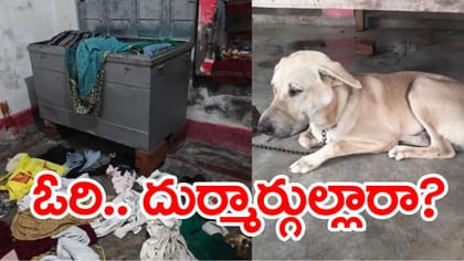 వింత దొంగతనం. కుక్క నోటికి టేప్‌ వేసిమరీ చోరీ! ఎక్కడంటే..