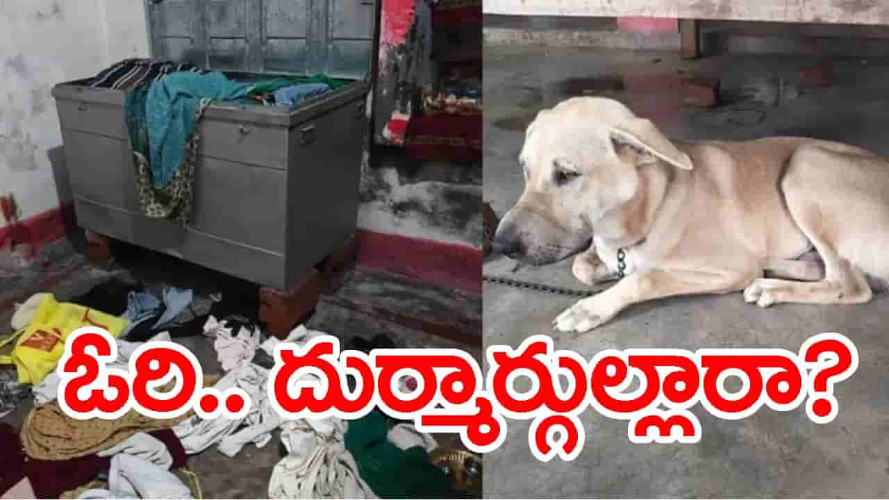 వింత దొంగతనం..! అర్ధరాత్రి ఇంట్లోదూరి.. కుక్క నోటికి టేప్ వేసిమరీ చోరీ!