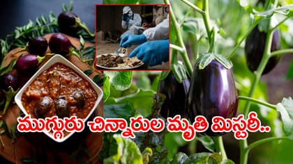 వంకాయ కూర తినీ.. ఒకే కుటుంబంలో ముగ్గురు అక్కాచెల్లెళ్లు మృతి!