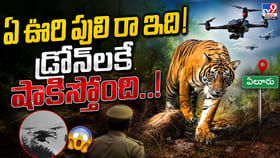 ఏ ఊరి పులి రా ఇది! డ్రోన్లకే షాకిస్తోంది..!