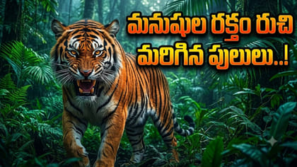 మ్యానిటర్‌గా మారుతున్న పులులు.. ఏటా ఎంత మరణిస్తున్నారంటే!