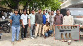 పులి గోర్లు మాయం చేసి అరెస్ట్.. అసలు వాటితో ఏం చేస్తారు..?