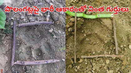 పొలం గట్లపై రైతుకు కనిపించిన వింత గుర్తులు.. ఏంటని ఆరా తీయగా