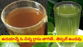 ఇమ్యూనిటీని 10 రెట్లు పెంచే అద్భుత కషాయం.. ఉదయాన్నే ఇలా చేస్తే
