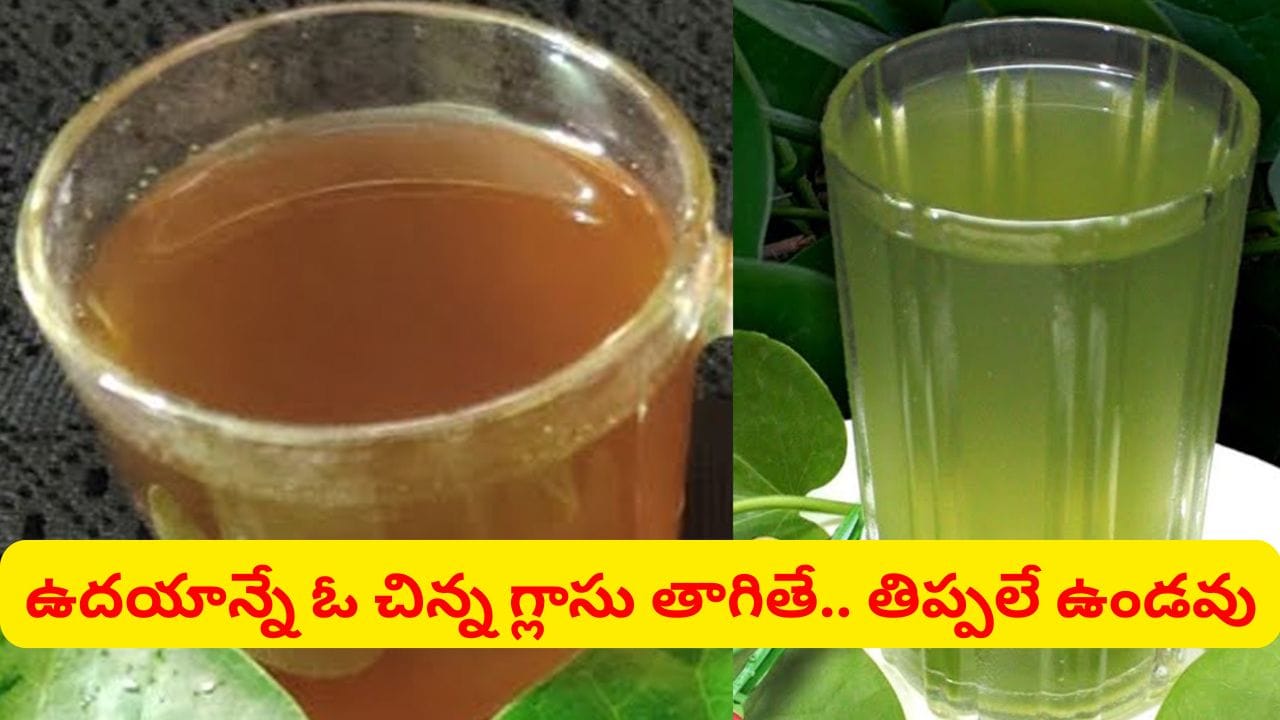రక్తాన్ని శుద్ధి చేసి ఇన్ఫెక్షన్లను తరిమికొడుతుంది.. ఇమ్యూనిటీని 10 రెట్లు పెంచే అద్భుత కషాయం..