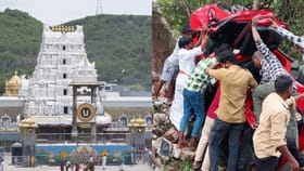 శ్రీవారిని దర్శించుకొని వస్తుండగా వెంటాడిన మృత్యువు