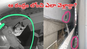 మార్నింగ్ షాప్ ఓపెన్ చేసేందుకు వెళ్లిన ఓనర్.. సెటర్ తీసి చూడగా..