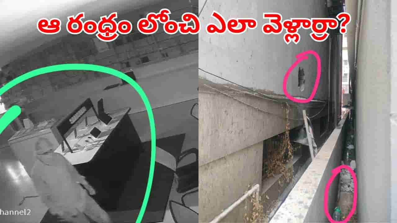 Andhra News: మార్నింగ్ షాప్ ఓపెన్ చేసేందుకు వెళ్లిన ఓనర్.. సెటర్ తీసి చూడగా..
