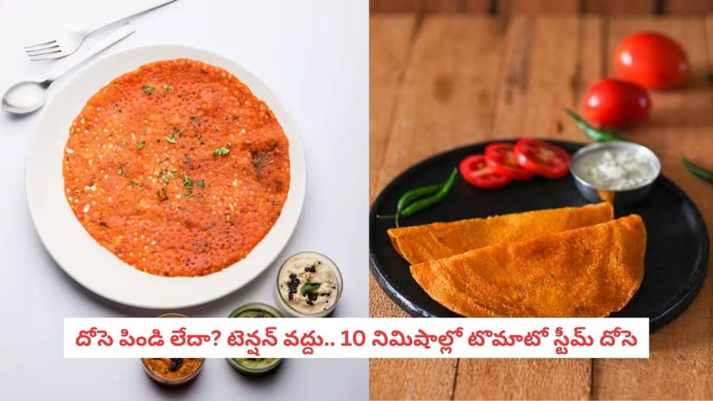Tomato Steam Dosa Recipe: టొమాటో స్టీమ్ దోసె.. పిండి పులియబెట్టకుండానే 10 నిమిషాల్లో రెడీ!