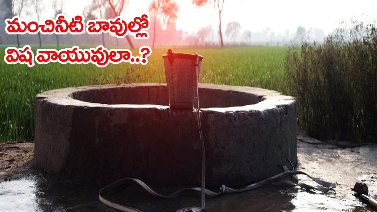 Mystery in Science: పాత బావుల్లోకి దిగితే ఎందుకు చనిపోతారు? నీటి లోపల విష వాయువులు ఎక్కడ్నుంచి వస్తాయ్..