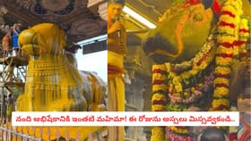 నంది అభిషేకానికి ఇంతటి మహిమా! ఈ రోజును అస్సలు మిస్సవ్వకండి..