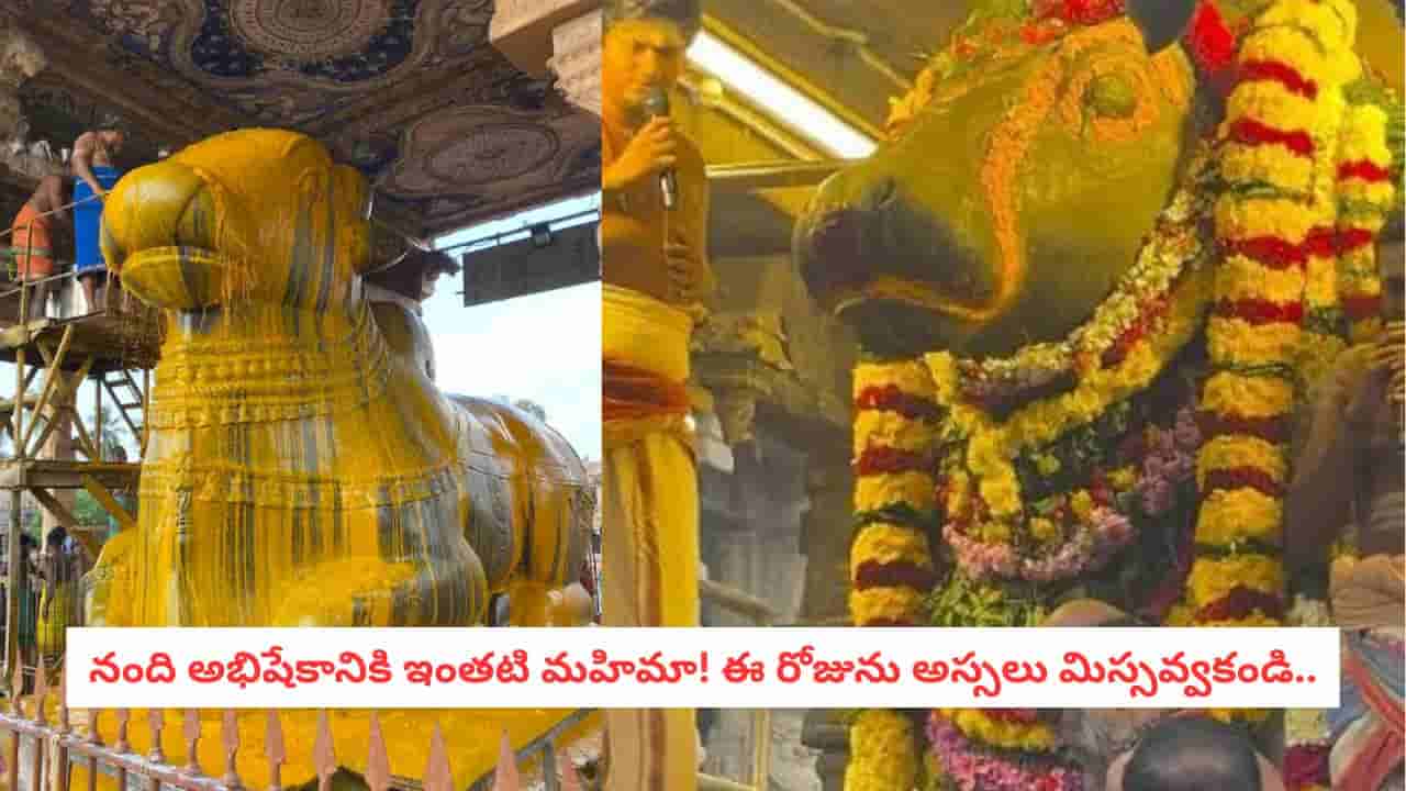 Nandi Abhishekam: దేవుడా!.. రాబోయే త్రయోదశి అంత పవర్ఫులా?.. నందికి ఈ ఒక్క అభిషేకం చేయిస్తే ఏమవుతుందో తెలుసా?