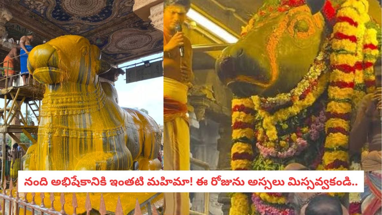 Nandi Abhishekam: దేవుడా!.. రాబోయే త్రయోదశి అంత పవర్ఫులా?.. నందికి ఈ ఒక్క అభిషేకం చేయిస్తే ఏమవుతుందో తెలుసా?