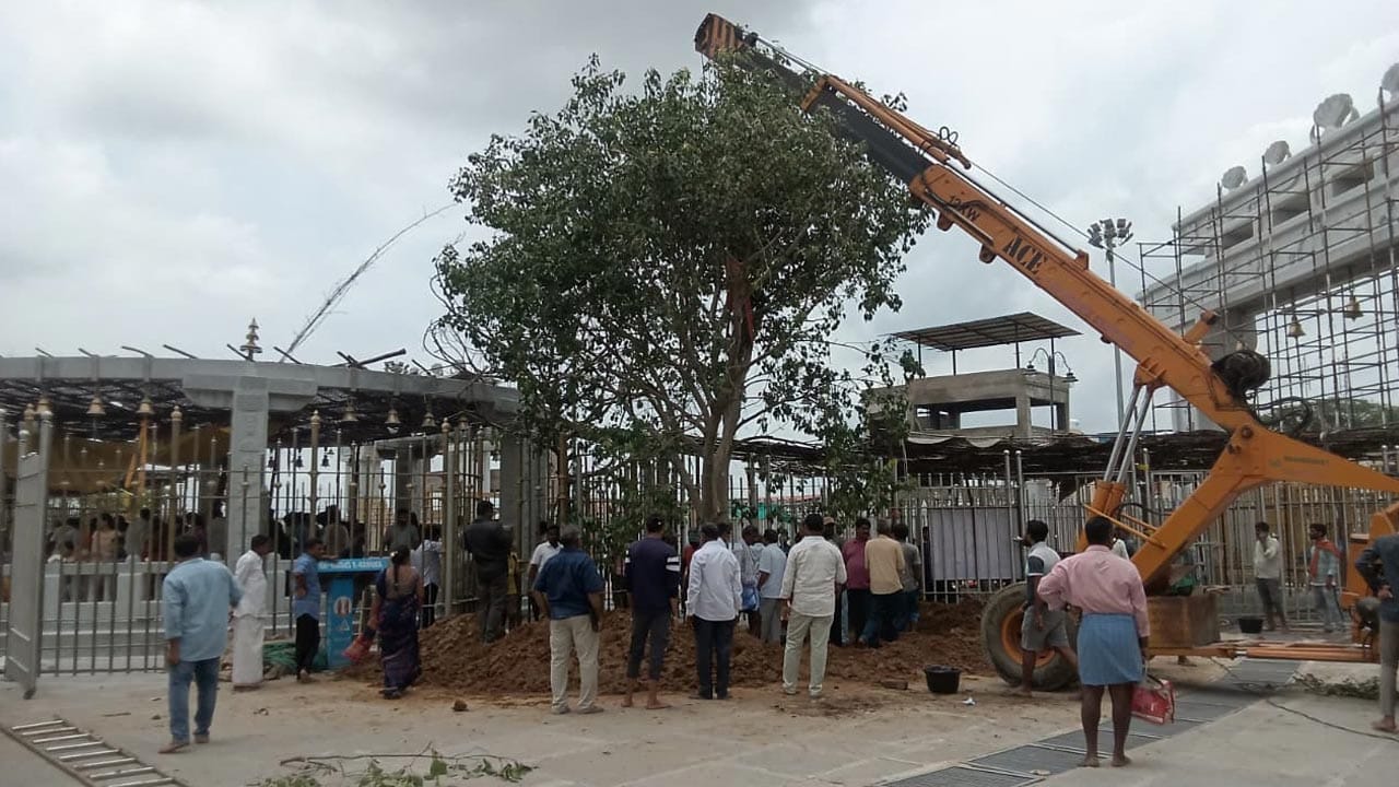 జువ్వి చెట్టు ప్రతిష్టాపన సందర్భంగా సమ్మక్క సారక్క పూజాలతో పాటు నాగులమ్మ పూజారులు ప్రత్యేక పూజలు నిర్వహించారు.. ఆదివాసి ఆచార సంప్రదాయాల ప్రకారం జుమ్మిచెట్టు ప్రతిష్టాపించిన ప్రభుత్వానికి స్థానిక మంత్రి సీతక్కకు ఆదివాసీ పూజారుల కృతజ్ఞతలు తెలిపారు..