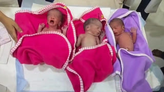 త్రిబుల్ ధమాకా.. ఒకే కాన్పులో ముగ్గురు పిల్లలు.. ఆ ఇంట అంబరాన్ని అంటిన సంబరాలు..