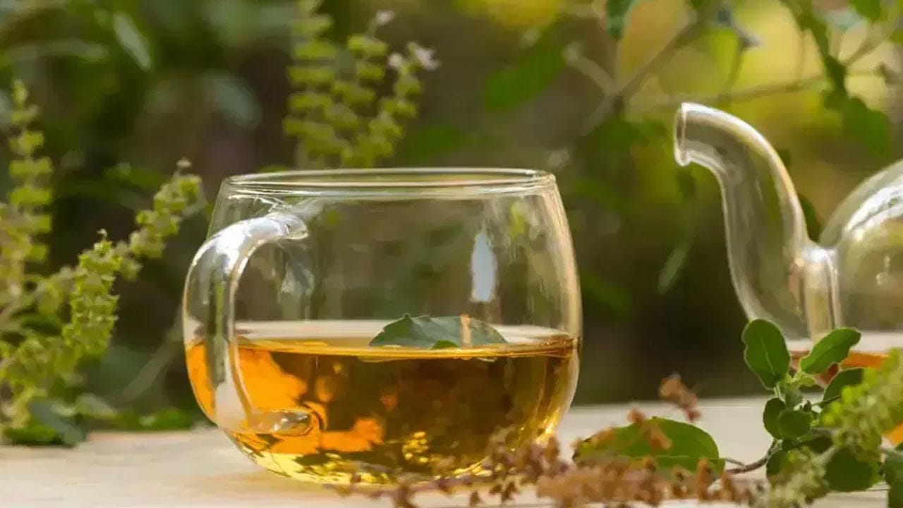 Tulsi Tea For Health