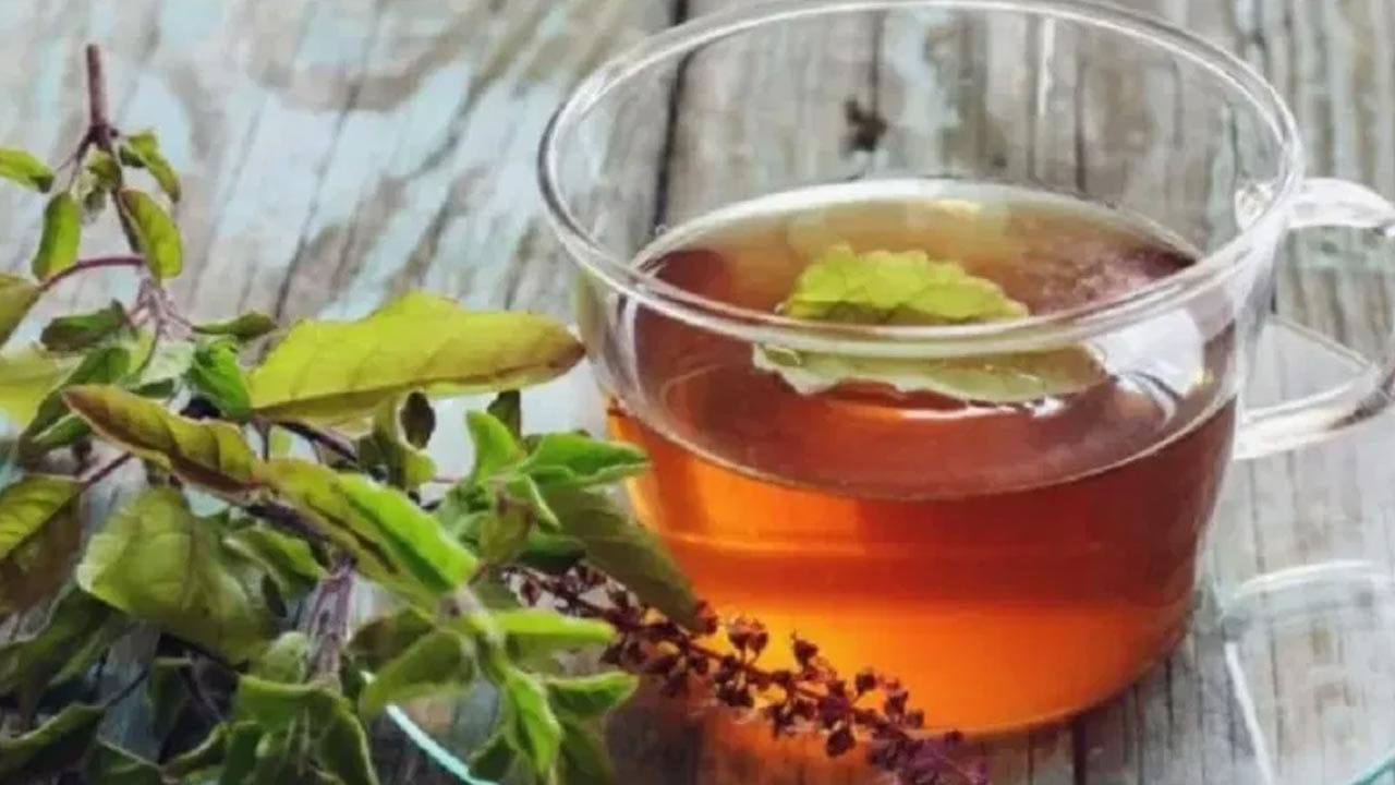 Tulsi Tea Health Benefits