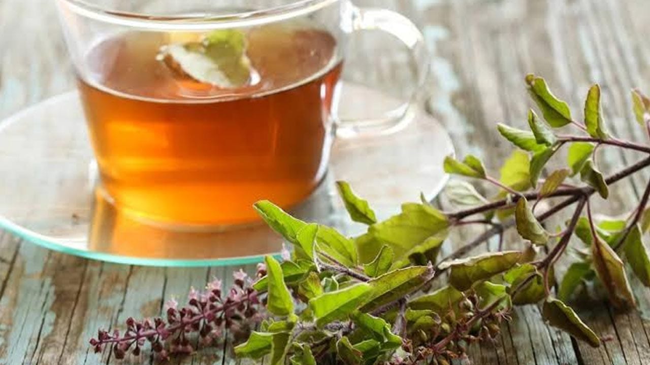 Tulsi Tea Recipe