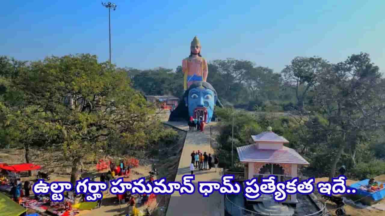 భూకంపంతో తలకిందులైన కోట.. 56 అడుగుల హనుమంతుడు! ఈ ఆలయం వెనుక 200 ఏళ్ల రహస్యం ఇదే