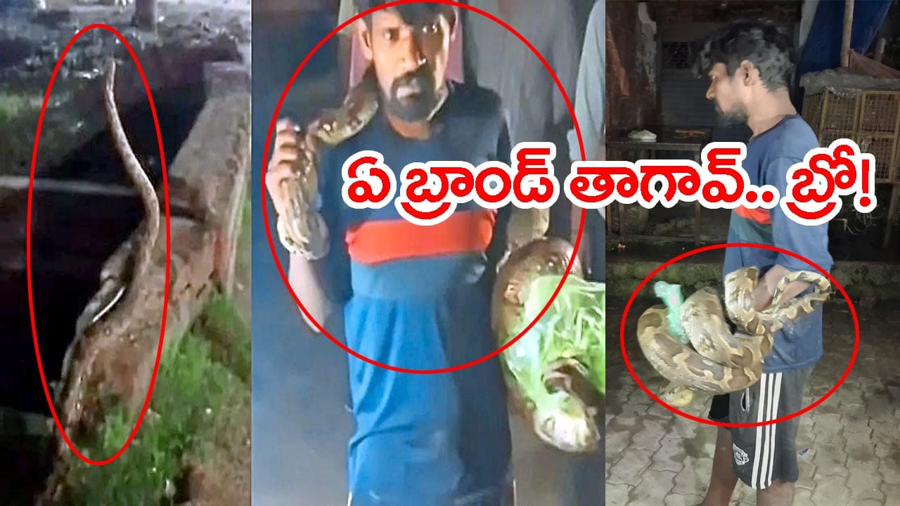 Watch: ఏ బ్రాండ్‌ తాగావ్‌ బ్రో.. మటన్‌ కొట్టులో దూరిన కొత్త కస్టమర్‌ను మడతెట్టిన మందుబాబు!