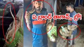 మటన్ కొట్టులో దూరిన కొత్త కస్టమర్‌.. మడతెట్టిన మందుబాబు! వీడియో