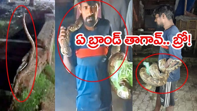 మటన్ కొట్టులో దూరిన కొత్త కస్టమర్‌.. మడతెట్టిన మందుబాబు! వీడియో