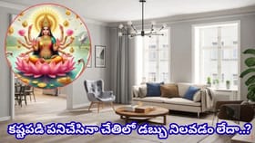 ఇంట్లో డబ్బు నిలవడం లేదా? లక్ష్మీ కటాక్షం కోసం ఈ సులభమైన..