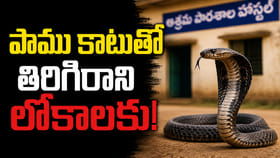 పాము కాటుకు ముగ్గురు మృతి, మరొకరు సీరియస్!