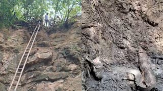 Viral Video: వ్యవసాయ బావిలో కనిపించిన భారీ ఆకారం.. ఏంటని తొంగి చూడగా..