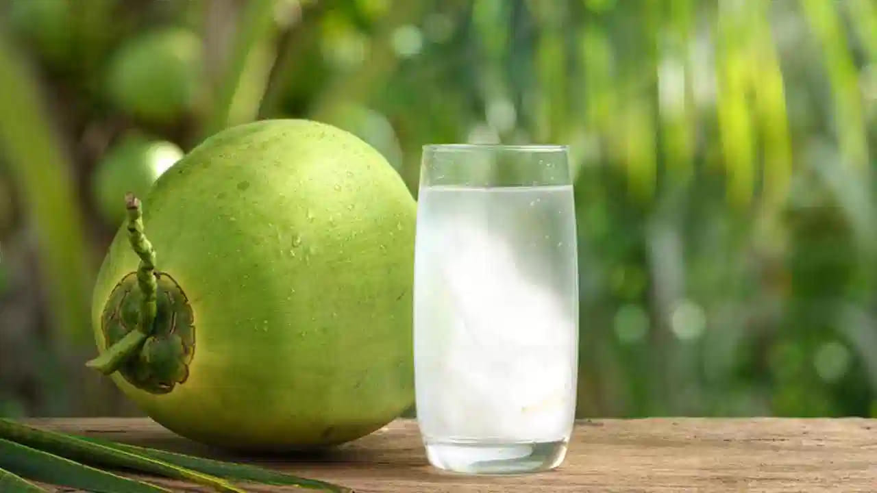 కిడ్నీ సమస్యలు ఉన్నవారు: కొబ్బరినీళ్లలో పొటాషియం చాలా ఎక్కువగా ఉంటుంది. సాధారణ రోజుల్లో పొటాషియం శరీరానికి ఉపయోగపడినా, వర్షాకాలంలో శరీరంలో ద్రవాల సమతుల్యత వేగంగా మారుతుంది. కిడ్నీలు సరిగ్గా పనిచేయనివారు పొటాషియాన్ని బయటకు పంపలేక రక్తంలో హైపర్కలేమియా సమస్యకు గురవుతారు. వర్షాకాలంలో ఇది కండరాల నొప్పులకు, గుండె స్పందనల్లో తీవ్రమైన తేడాలకు కారణమవుతుంది.
