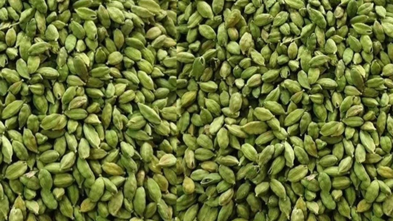 Yalakulu 2