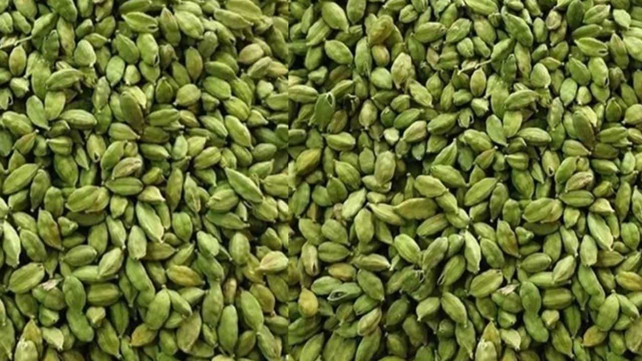 ఇప్పుడు చెప్పబోయే టిప్ ను మీరు పాటిస్తే ఊపిరితిత్తుల్లో పేరుకుపోయిన కఫాన్ని మొత్తం కరిగించి, శ్వాస ఆడేలా చేస్తాయి.అవే యాలకులు.. వీటిని ఎలా తీసుకోవాలి? ఇవి ఆస్తమా నుంచి ఎలా బయటపడేస్తాయి. ఇంకా ఆయుర్వేదంలో వీటిని ఎలా వాడెవరో ఇక్కడ పూర్తిగా ఇక్కడ చదివి తెలుసుకుందాం..