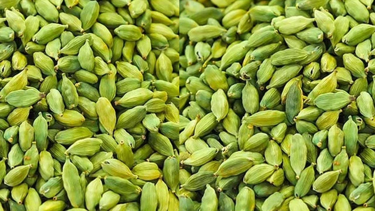Yalakulu 3