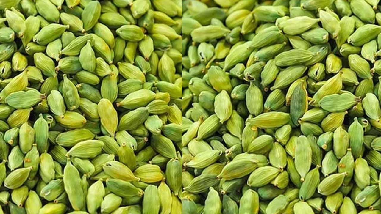 ఈ యాలకులను పొడిని మీరు స్టోర్ చేసుకోవచ్చు. అయితే, మీరు గ్లాస్ గోరువెచ్చని పాలు తీసుకుని పావు టీ స్పూన్ యాలకుల పొడి, ఇంకా దీనిలో కొద్దిగా బెల్లం కూడా వేసుకొని తాగాలి. అయితే, డయబెటిస్ ఉన్నవారు బెల్లం తీపి కాబట్టి, అసలు వేసుకోకూడదు. ఇలా ఒక్క గ్లాస్ తాగినా చాలు. ఆ సమస్య నుంచి ఉపశమనం పొందుతారు.