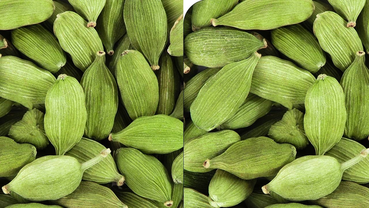 Yalakulu 4