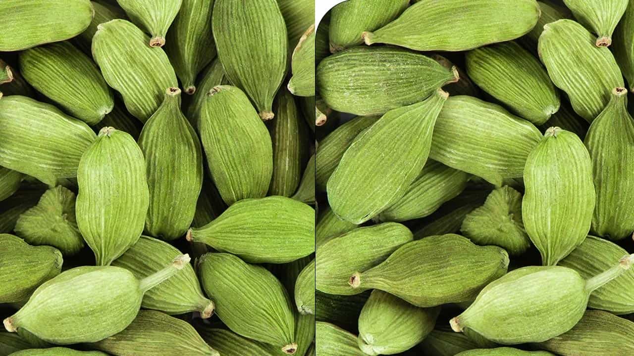 (నోట్ : మీరు వీటిని పాటించే ముందు వైద్యుల సలహా తప్పసరిగా తీసుకోవాలి. ఇక్కడ అందించిన వివరాలు కేవలం మీ అవగాహనకు కోసం మాత్రమే. ఆరోగ్యరీత్యా ఎలాంటి సమస్యలు ఉన్నానేరుగా వైద్య నిపుణులను సంప్రదించడం మంచిది. ఇందులో రాసిన అంశాలకు టీవీ9 బాధ్యత వహించదని గమనించగలరు)