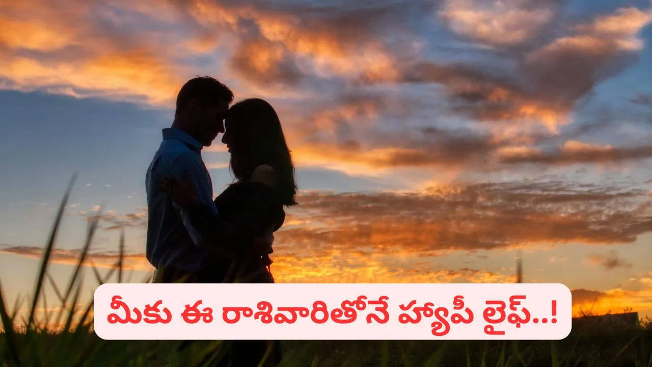 వృషభం – కన్య: స్థిరమైన బంధానికి ప్రతీక.. గ్రహ సంబంధం: వృషభరాశికి శుక్రుడు, కన్యారాశికి బుధుడు అధిపతులు. కళాత్మకత, ఆచరణాత్మక ఆలోచన, తెలివితేటలు కలిసిన జోడీగా దీనిని పరిగణిస్తారు. అనుకూలత: వృషభం, కన్య రెండూ భూతత్వ రాశులు. అందువల్ల జీవితంలో స్థిరత్వం, కుటుంబ బాధ్యతలు, ఆర్థిక భద్రత వంటి అంశాలకు వీరు ఎక్కువ ప్రాధాన్యత ఇస్తారు. వృషభరాశి వారి సహనం, కన్యారాశి వారి ముందుచూపుతో కూడిన ప్రణాళికలు కలిసి ఈ జంటను  బలమైన భాగస్వాములుగా మారుస్తాయి. చిన్న చిన్న విషయాల్లో విభేదాలు వచ్చినా, బంధాన్ని నిలబెట్టుకోవాలనే ఆలోచన వీరిలో బలంగా ఉంటుందని చెబుతారు. 