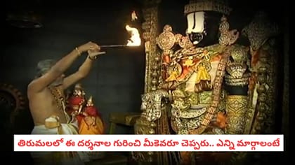 తిరుమలలో ఈ దర్శనాల గురించి మీకెవరూ చెప్పరు.. ఎన్ని మార్గాలంటే