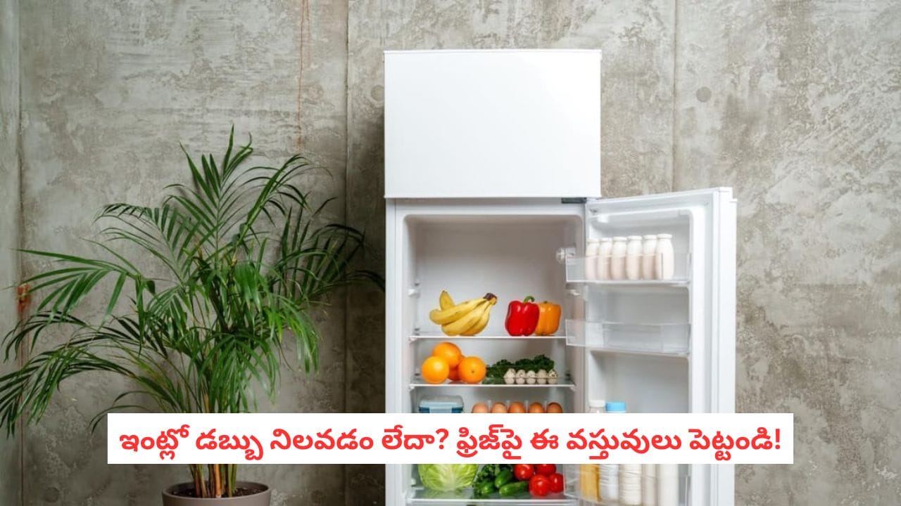 Vastu Tips: ఫ్రిజ్‌పై ఖాళీ డబ్బాలు, పాత వస్తువులు వద్దు.. ఇవి పెడితే ధన ప్రవాహం!